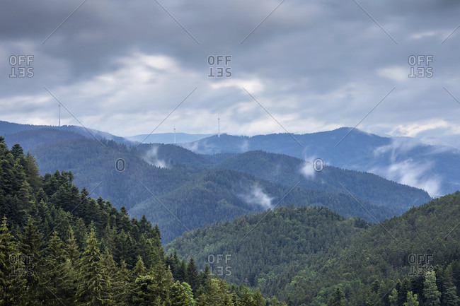 View, Highlands, Mountains, Forest, Hills, Europe, Germany, Black Forest, Triberg, Gremmelsbach, Kreuzacker,