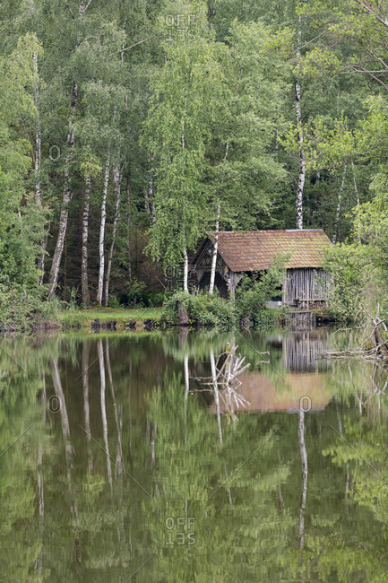 Germany, Baden-Wurttemberg, Upper Swabia, Pfrunger Ried, birches and hut are reflected in the moor lake