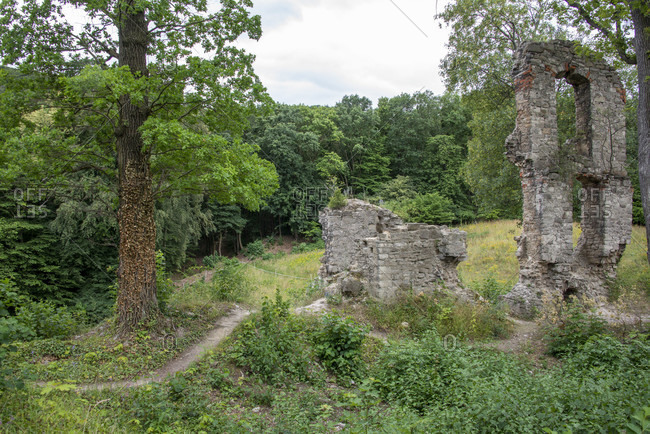 Germany, Saxony-Anhalt, Stecklenberg, medieval castle ruin Stecklenburg in the Harz Mountains.