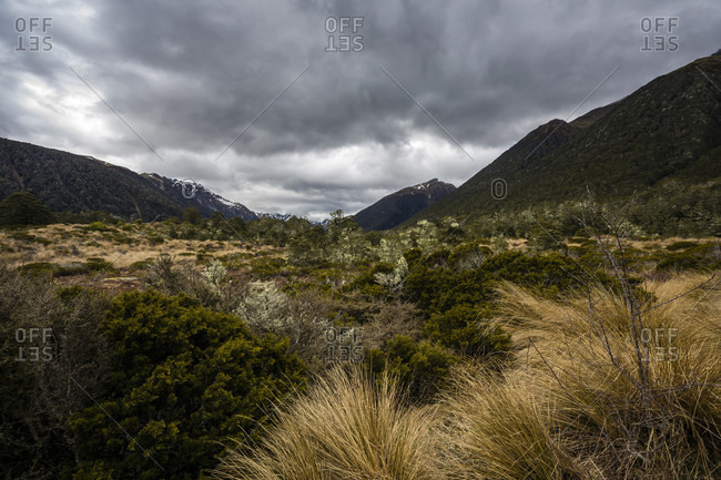Mountain landscape and vegetation on Highway 7, South Island New Zealand