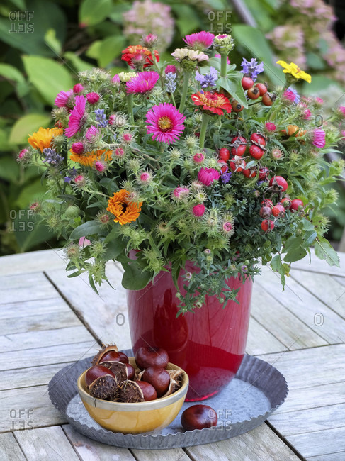 Autumnal bouquet with asters, calendula, zinnias and rose hip