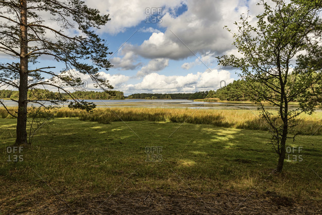 Wide view of the archipelago landscape framed by trees.