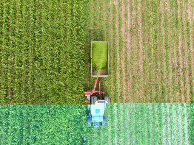 Aerial view of tractor harvesting and cutting field for hay.