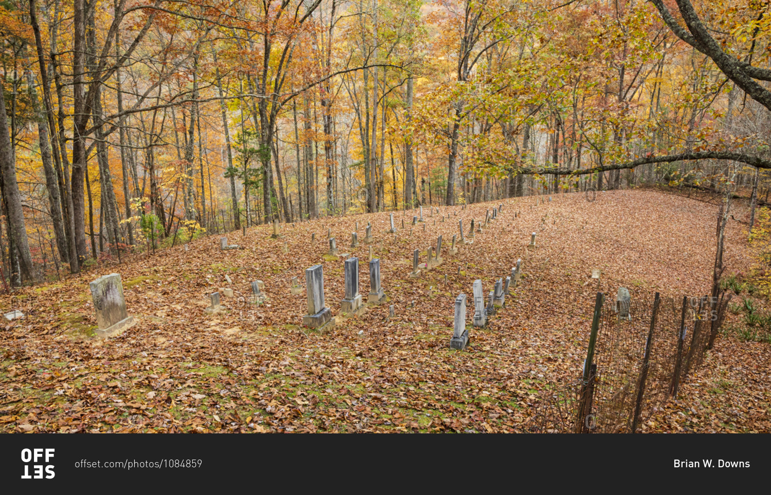 Cemetery in autumn with fallen leaves in the forest, Great Smoky Mountains National Park, Cataloochee, North Carolina