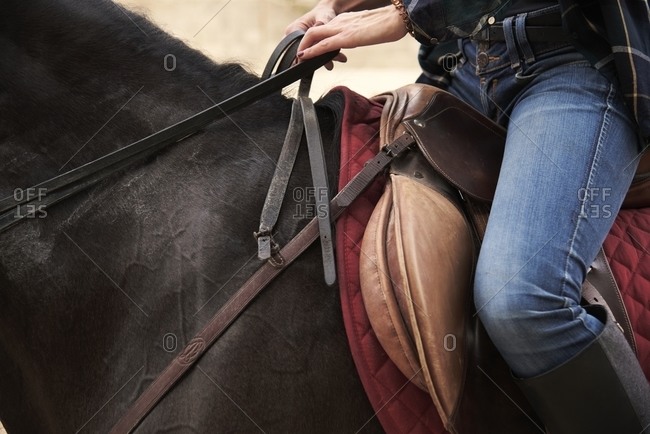 Crop side view of female equestrian in boots sitting in saddle and riding obedient horse in forest