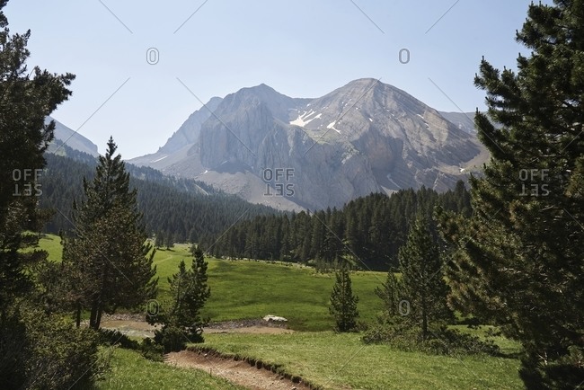 Wonderful view of mountain range in front of green valley with coniferous trees on sunny day in summer