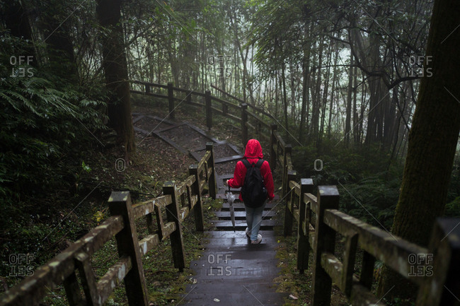 From above back view of unrecognizable tourist in raincoat and with backpack walking on pedestrian bridge leading through dense green woods in rainy day