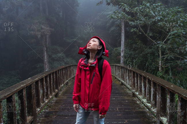 Young Asian female backpacker in red raincoat standing on old wooden footbridge and looking up while exploring foggy woods in rainy weather