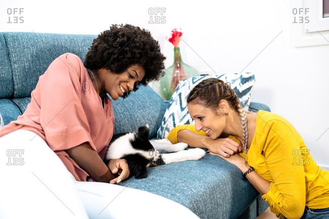 Happy multiracial female couple with cute little dog enjoying free time together on cozy sofa in living room at home