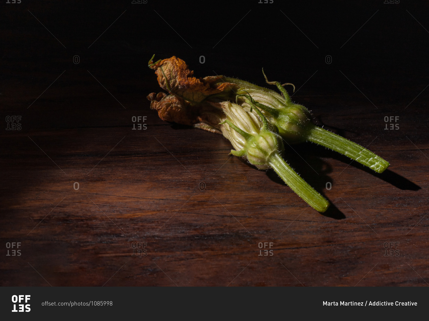 Baroque painting style still life with fresh edible zucchini flowers composed on dark wooden surface with pictorial light
