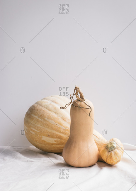 Composition of pumpkins on the table