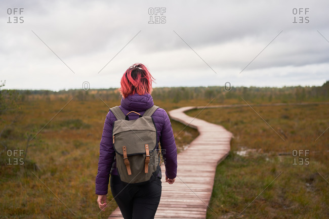 Back view of female traveler with backpack and in outerwear walking along wooden pathway leading through field in Sestroretsk in autumn
