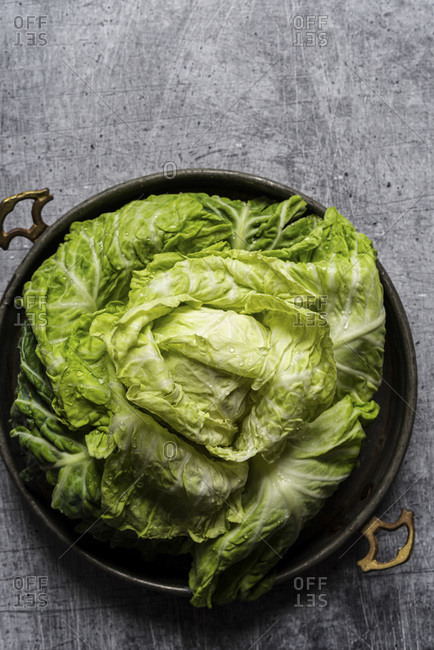 Head of fresh cabbage, top view