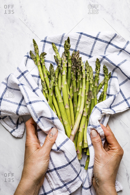 Person drying asparagus with kitchen cloth