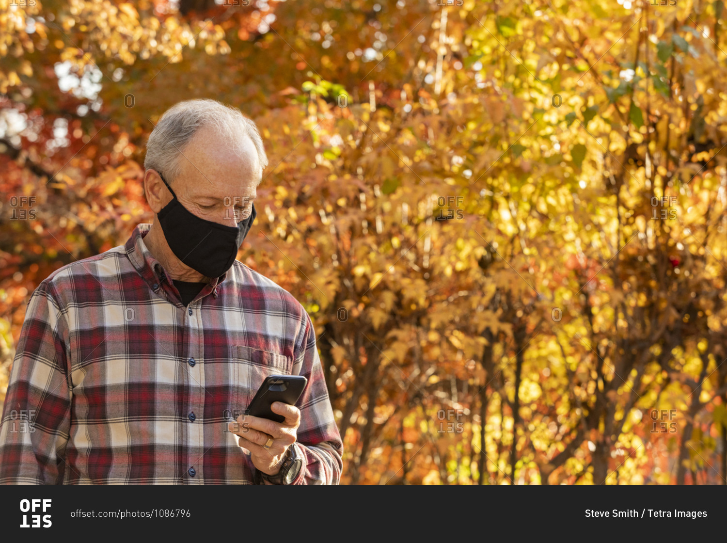 Senior man wearing Covid protective mask using smartphone outdoors in fall