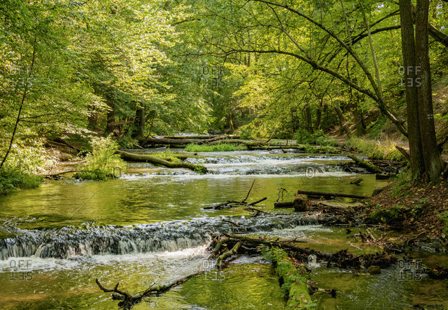 Cascades on the Tanew River, Szumy nad Tanwia, Tanew Nature Reserve, Roztocze, Lublin Voivodeship, Poland, Europe