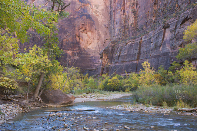 View across the Virgin River to the red sandstone cliffs of the Temple of Sinawava, autumn, Zion National Park, Utah, United States of America, North America