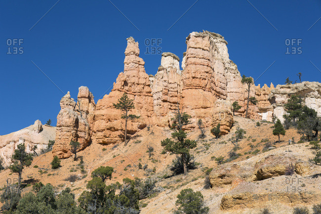 Typical rock hoodoos towering above the Mossy Cave Trail, Water Canyon, Bryce Canyon National Park, Utah, United States of America, North America