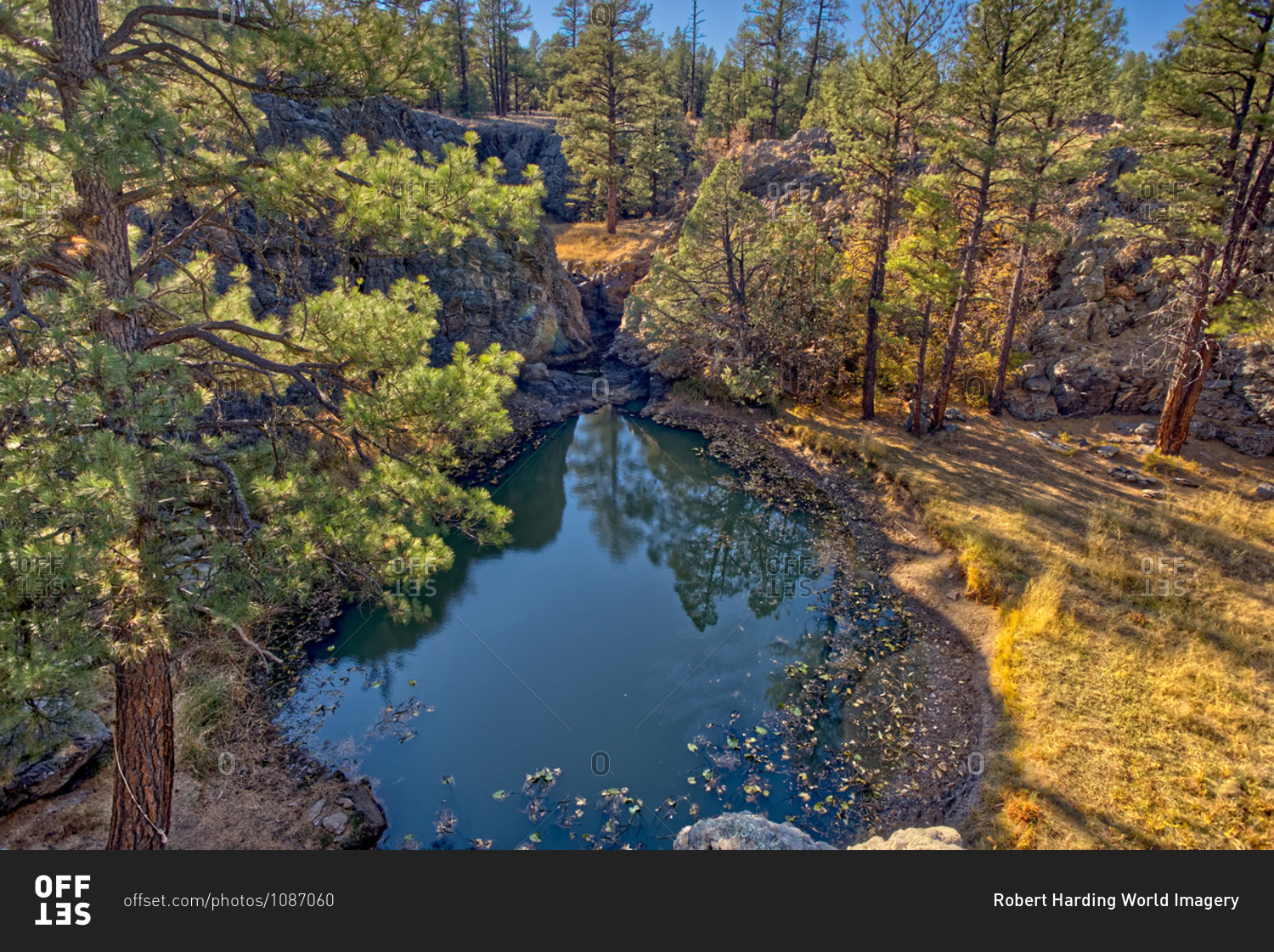 One of several natural ponds near Sycamore Falls known as the Pomeroy Tanks, Kaibab National Forest near Williams, Arizona, United States of America, North America