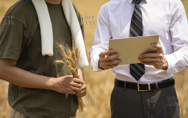 Farmer meeting businessman in wheat field