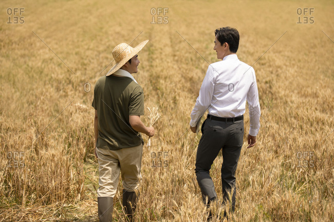 Farmer talking with businessman in wheat field