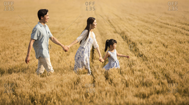 Happy young family having fun in wheat field