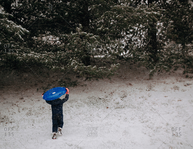Back view of child carrying saucer sled over head while walking towards forest