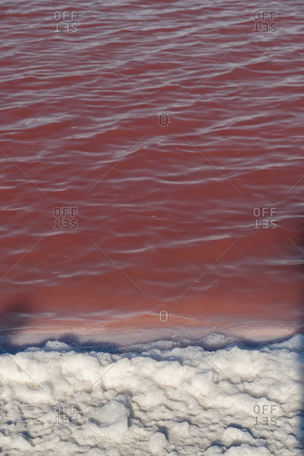 Mexico- Yucatan- Las Coloradas- Shore of red saline lake