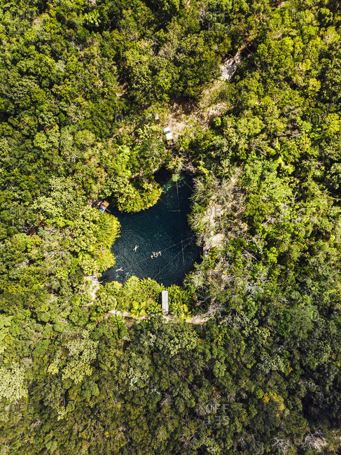 Aerial view of cenote surrounded by green lush jungle