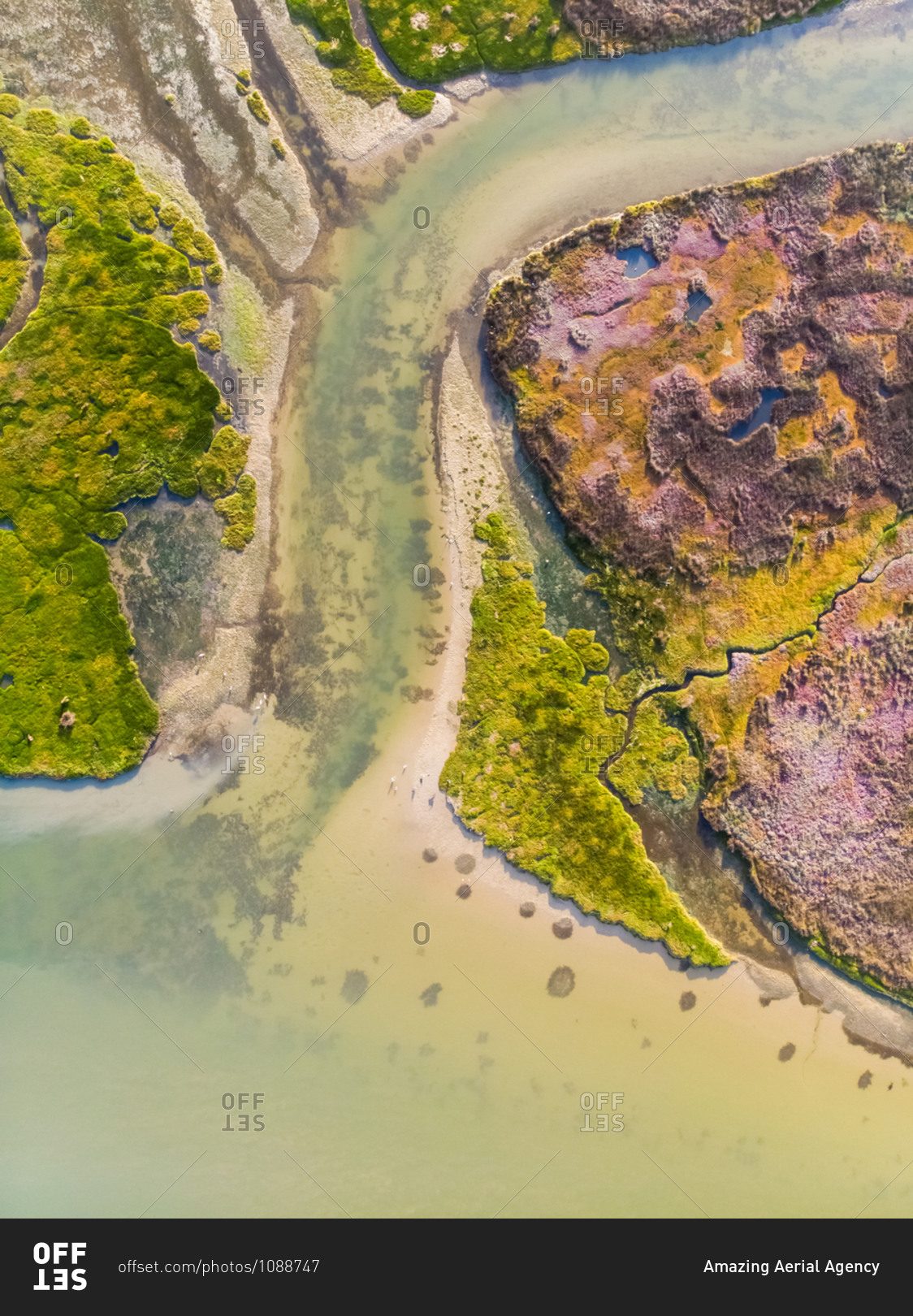 Aerial view of Velddrift wetland colorful abstract, Western Cape, South Africa