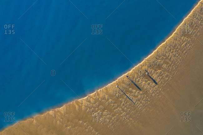 Aerial view of fishermen fishing on the shore during sunrise time, when the sand is gold and the river waters are smooth as silk, in Ria de , Murtosa, Aveiro, Portugal