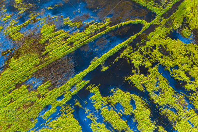 Aerial view of a marshland part of estuary of river Vouga, in Ria de Aveiro, Bioria, Salreu, Estarrega, Aveiro, Portugal