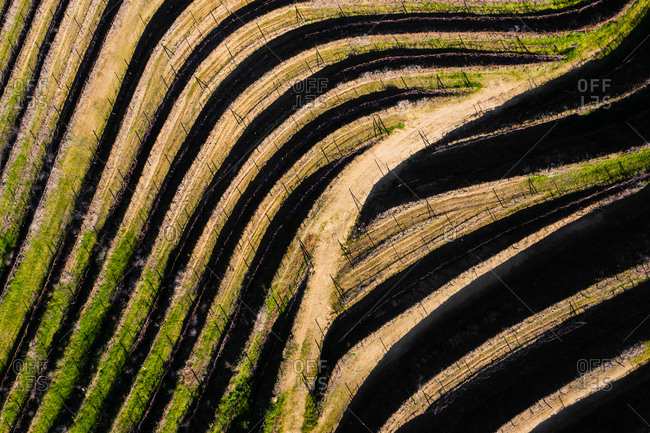 Aerial view of the patterns of vineyards terraces used for production of Port Wine, in Folgosa, Armamar, Douro Valley, Portugal