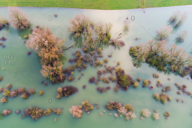 Aerial view of trees on submerged floodplains along the dike, Ooijpolder, Gelderland, Netherlands