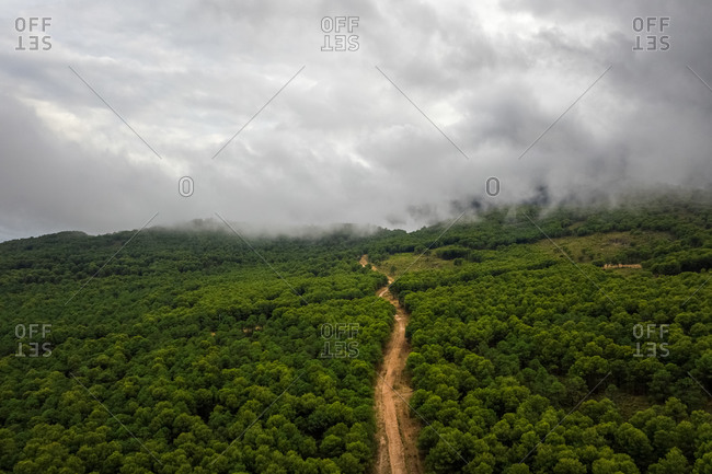 Aerial view of road trough woods with clouds, Coin, Malaga, Spain