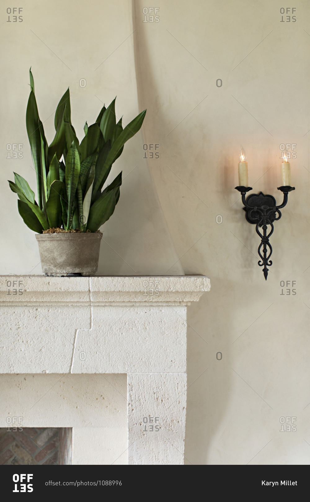 Potted plant on top of fireplace mantel beside antique wall sconce