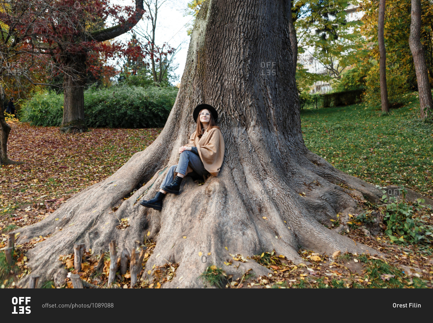 A young woman in a black hat and poncho is sitting on the roots of the huge old tree in the park in the autumn season
