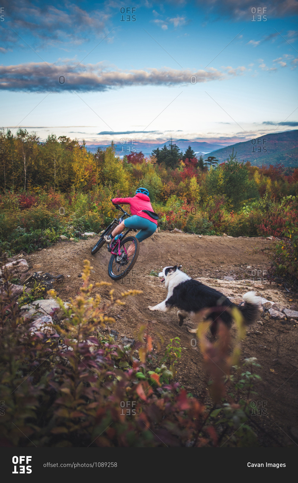 Female mountain-biking with dog running behind during foliage season
