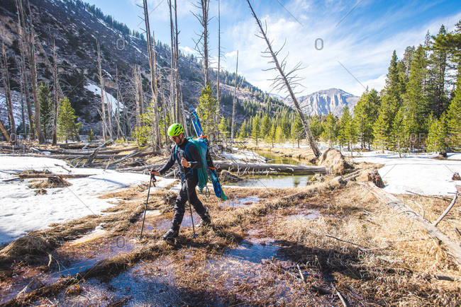 Man walking with skis on back across log in wooded area