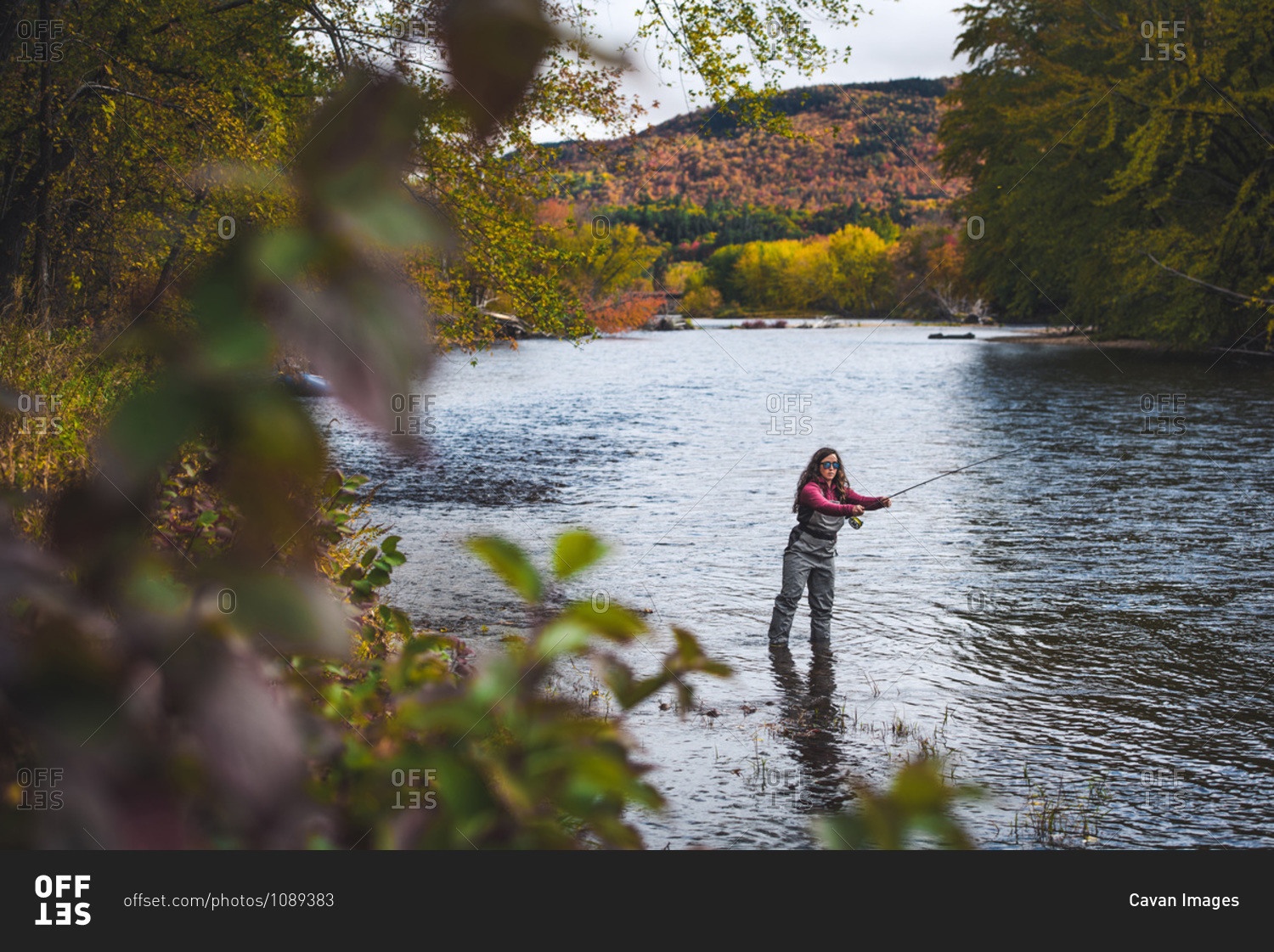 Woman in waders casts upstream during fall foliage season in NH
