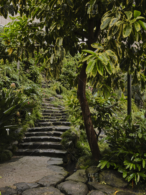 steps at Estufa Fria Botanic Gardens