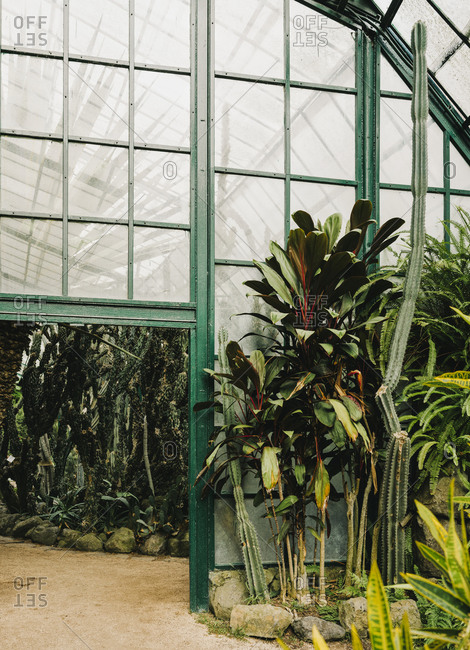 Greenhouse in Estufa Fria Botanic Gardens