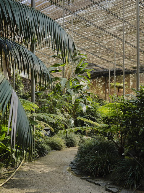 Pathway at Estufa Fria Botanic Gardens