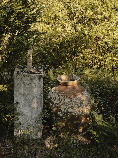 Dappled light on large vase in Portuguese countryside