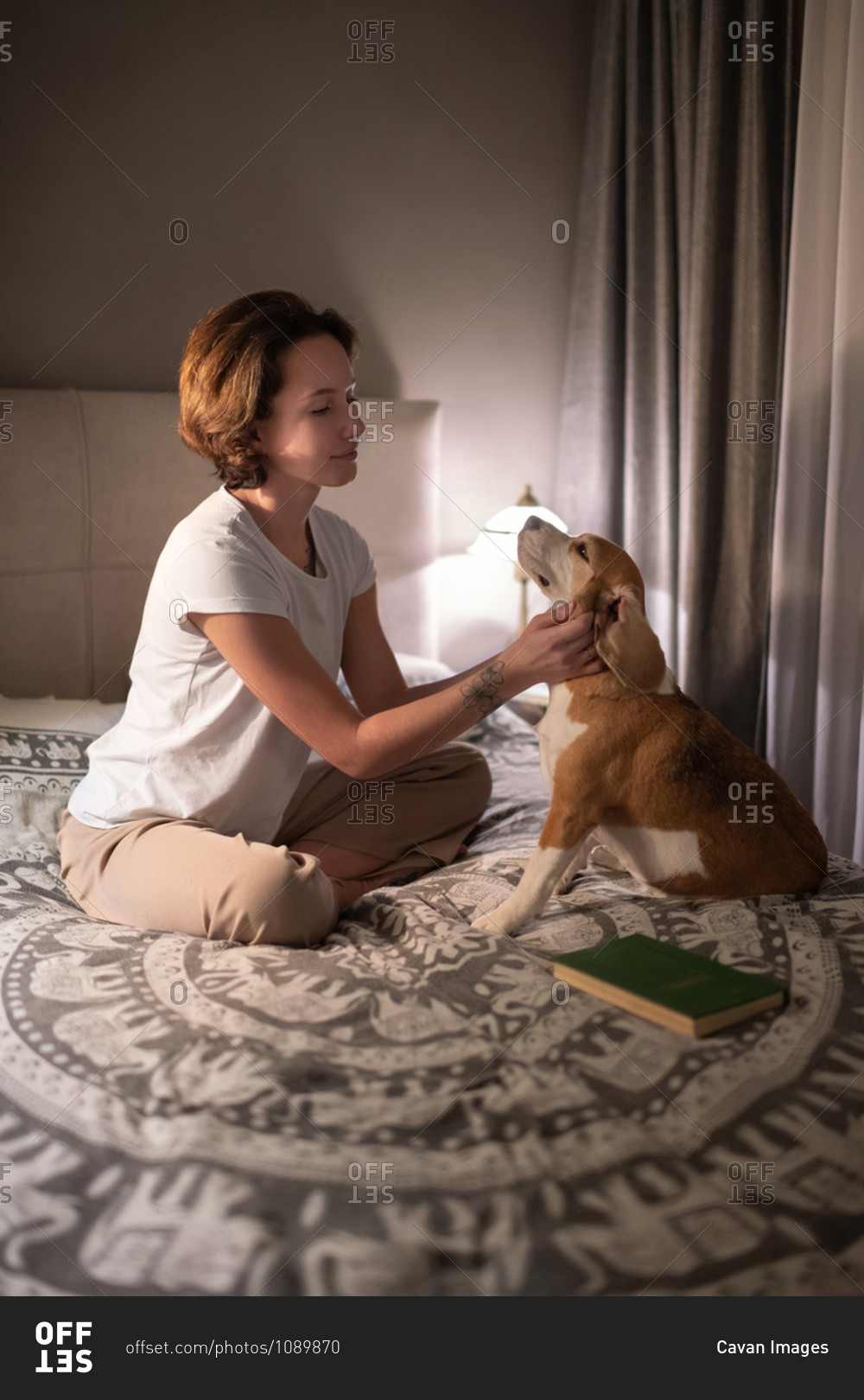 Female owner scratching loyal dog on bed