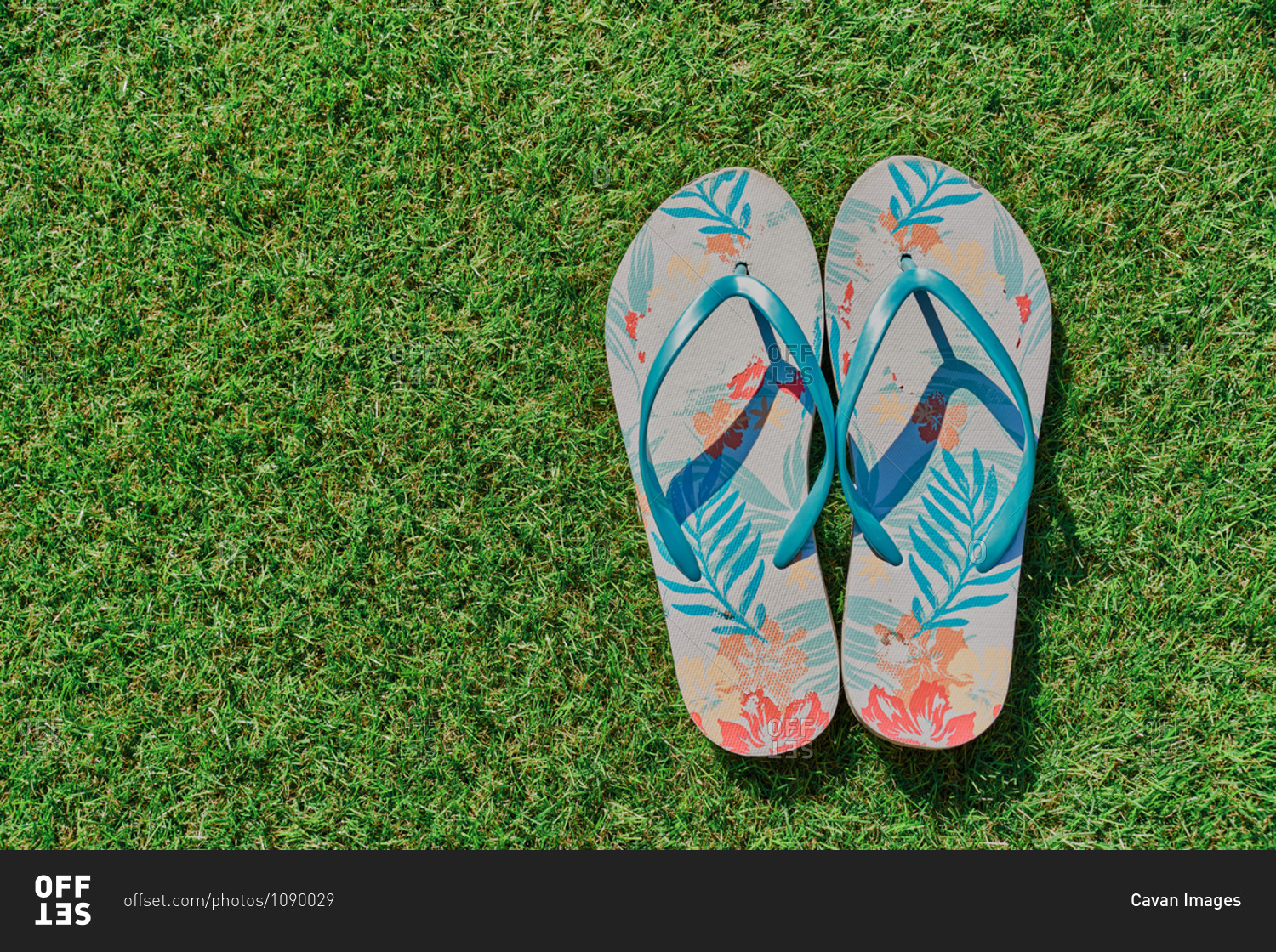 above view pair of multicolored flip-flops on green grass background ...