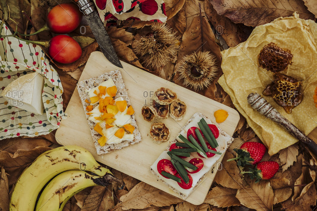 A still life of fruits, honey and cheese in the nature