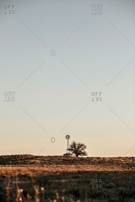 Windmill stands guard over plains Cimarron National Grassland Kansas