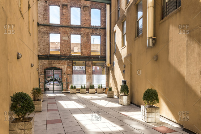 An empty courtyard in Clinton Hill, Brooklyn with natural light.