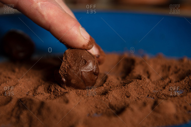 Rolling truffles in cocoa powder for chocolate truffles